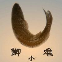 钓鱼实测，野钓时饵料中加入大蒜能让鱼儿疯狂咬钩，是真的吗