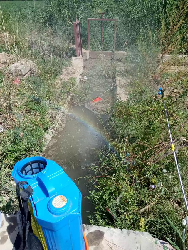 倒带和彩虹:民间传说雨后彩虹有讲究:举例说出有哪些讲究？