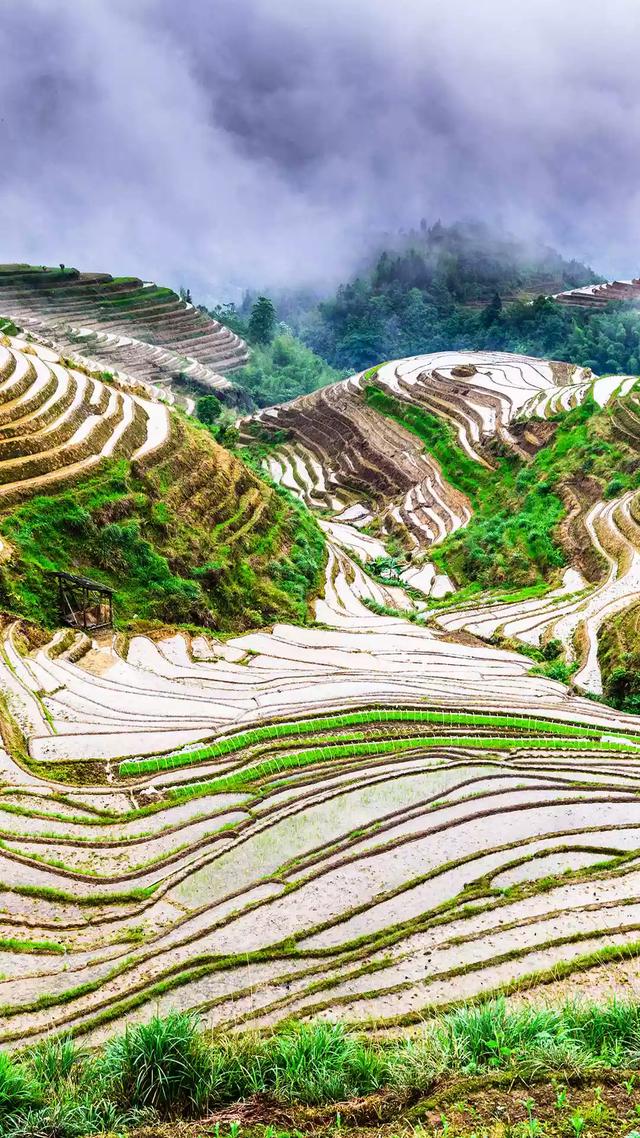 怎么鉴别一块石头是不是玉？插图73