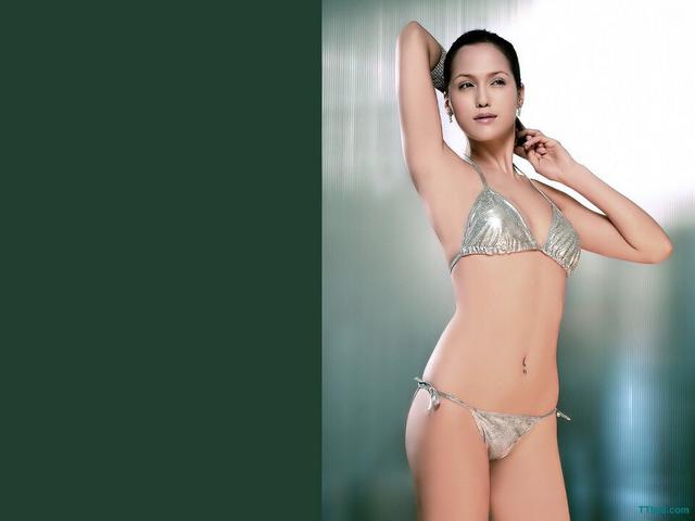 使徒行者2演员表:使徒行者2里哪个女演员最好看？