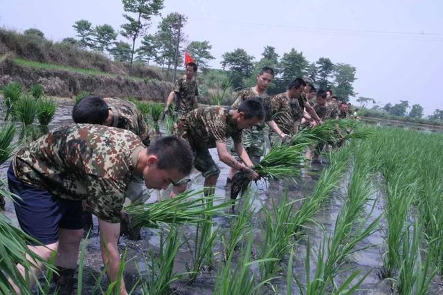 美国猫市长:支持率和知名度领先竞争对手，华裔杨安泽会成为纽约市长吗？ 美国猫市长去世