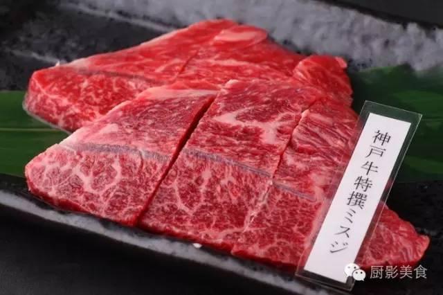 十大世界上最贵的狗排名图片欣赏:世界上最昂贵的肉有哪些？