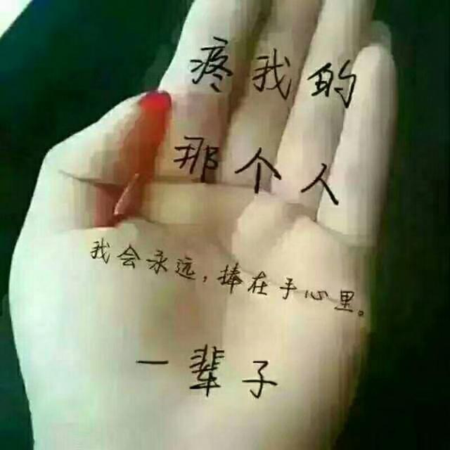 宠物志愿百度网盘:为什么爱上一个不该爱的人这么的痛苦？
