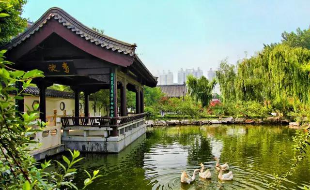 临沂洗砚池街灵异事件:临沂市哪个县区好玩的景点多？