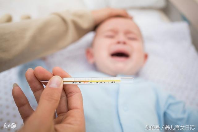 宝宝吃鱼可以补脑，婴儿感冒吃鱼可以吗？我宝宝辅食很喜欢吃鱼呢，不知道能不能吃？