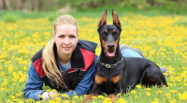 大型宠物犬品种大全:哪种大型犬最适合家养，盘点适合家养的10种大型犬？