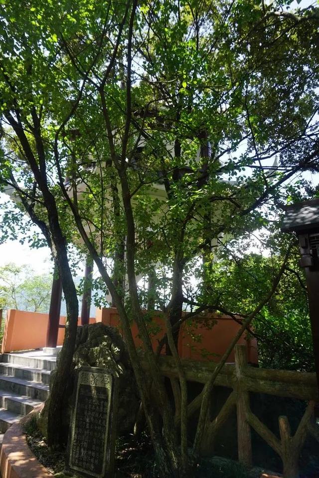 中国长阳:长阳有哪些景点值得推荐？