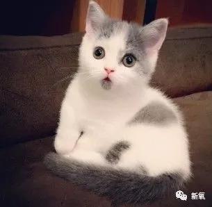 快乐星球演员表:《快乐星球》的演员们现在都怎么样了？