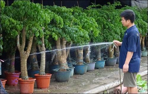 武汉宠物食品批发市场:武汉有专门的花鸟市场吗？