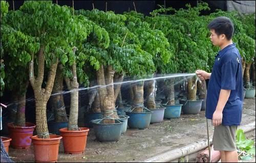 武汉市武胜路花鸟市场:武汉有专门的花鸟市场吗？ 武汉市最好的花鸟市场