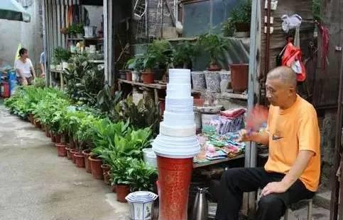 武汉宠物食品批发市场:武汉有专门的花鸟市场吗？