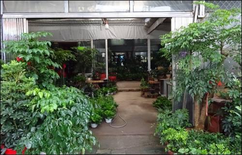 武汉宠物食品批发市场:武汉有专门的花鸟市场吗？