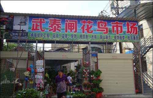 武汉宠物食品批发市场:武汉有专门的花鸟市场吗？