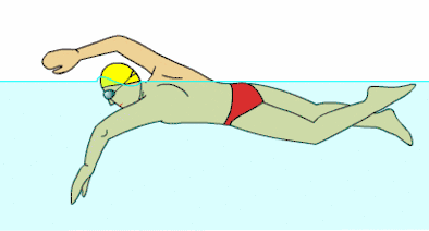 腰背肌功能锻炼 游泳图片