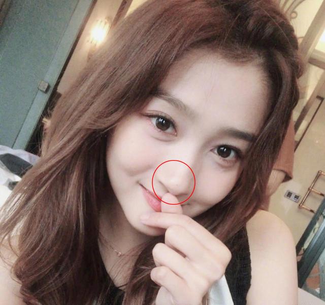 贾青整容:整容最成功的女明星是谁？