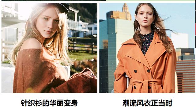 曼赤肯短腿多少钱:曼赤肯猫短腿图片可爱 现在入手一只短腿猫，大概什么价位？