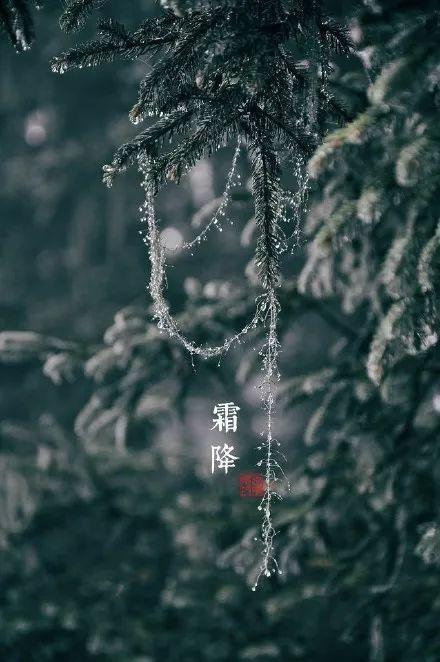 关于“霜降”的诗词有哪些