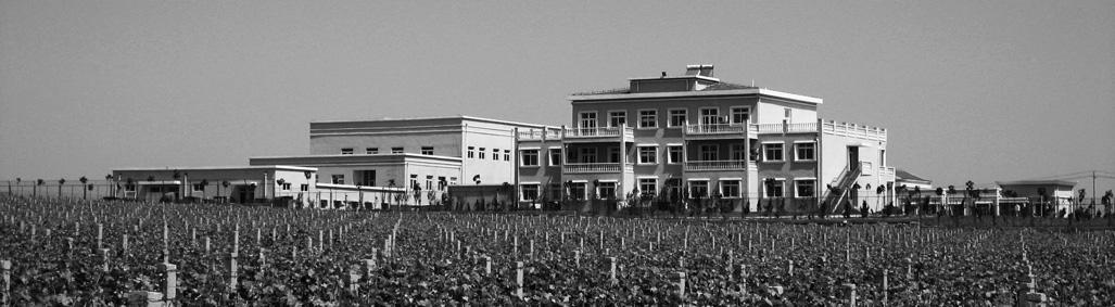 西夏王蛇龙珠干红葡萄酒价格，国内有哪些比较好的葡萄酒品牌可以推荐