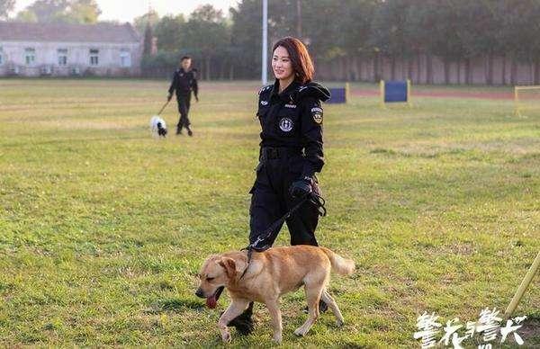 拉布拉多犬价格:市场上双血统拉布拉多价格多少？ 拉布拉多犬价格是多少