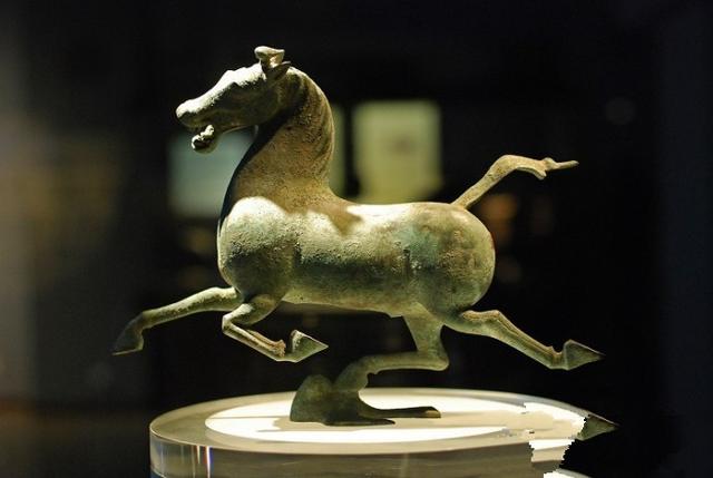 甘肃发现首例白化野骆驼:骆驼有许多散养的，怎样区分骆驼是野骆驼还是家骆驼