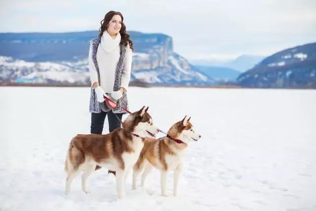 牵犬师培训手册电子档:第一次养狗，最容易犯哪些禁忌？