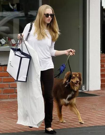 牵犬师培训手册电子档:第一次养狗，最容易犯哪些禁忌？