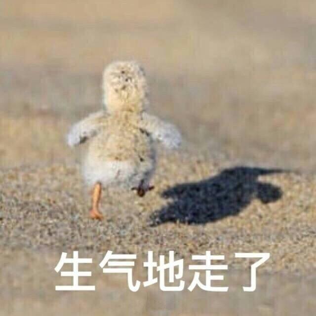 哄能组什么词？