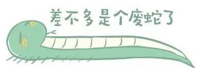大蛇吞人:人被蟒蛇缠住了，生还的几率有多大