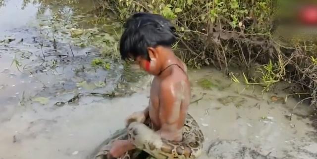 大蛇吞人:人被蟒蛇缠住了，生还的几率有多大