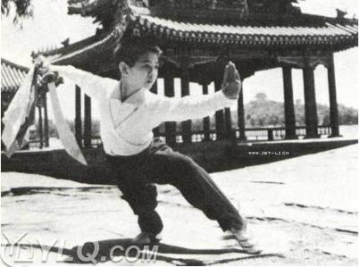 利智个人资料:李连杰还拍电影么为什么没见有他的新电影