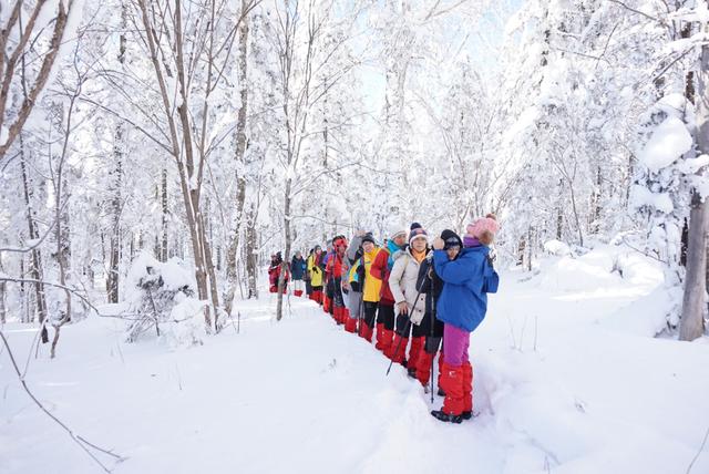 可不可以带我去吃雪:我是南方人，春节带父母去东北过年有合适的赏雪线路吗？