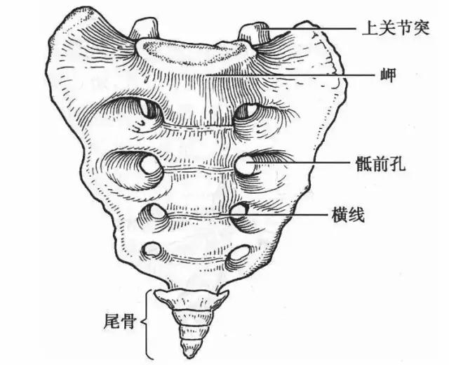 瘫痪是什么意思:我爸现在半边瘫痪了，是哪种类型的病？