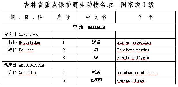 吉林省动物学会:在吉林，都有哪些属于国家一级保护的动物？