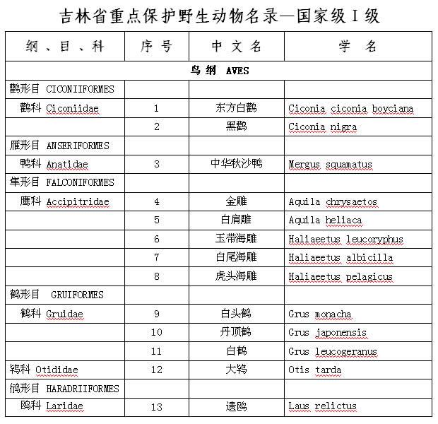 吉林省动物学会:在吉林，都有哪些属于国家一级保护的动物？