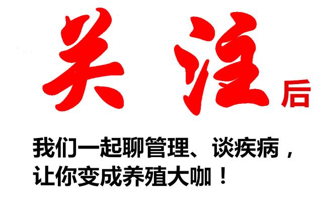 楚雄太阳鸟赛鸽中心:好鸽子为什么都轮为了天落鸟？ 楚雄太阳鸟赛鸽中心秋棚