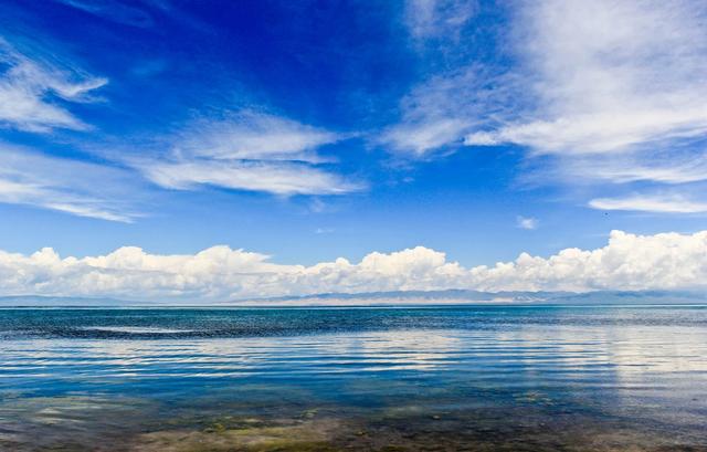 普通秋沙鸭:青海湖是咸水湖还是淡水湖？