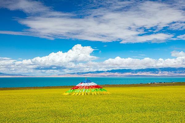 普通秋沙鸭:青海湖是咸水湖还是淡水湖？