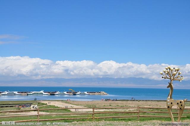 普通秋沙鸭:青海湖是咸水湖还是淡水湖？