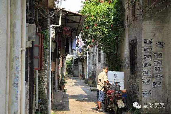 张闻天简介:哪些男人的名字是从诗句中提炼出来并且让你过目不忘的？