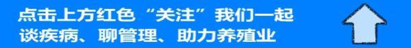 牛配种:如何采用人工授精技术进行母牛配种？ 牛配种日期预产期表