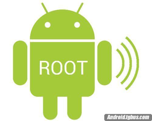 root是什么意思，root是什么意思英语