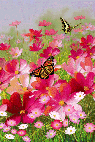 宅男眼中的十大女明星排行榜,你最喜欢谁?-生活百科