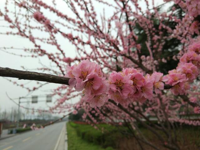 洛阳是哪里,洛阳是都城时有郑州这个城市吗？