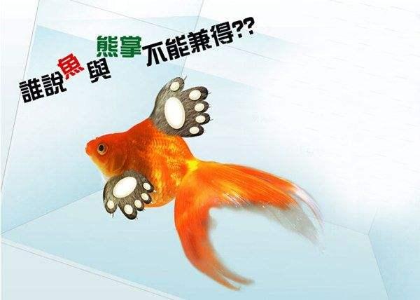 为什么说鱼与熊掌不可兼得,难道两者相冲有毒？明明是可以吃一口熊掌再吃一口鱼的？