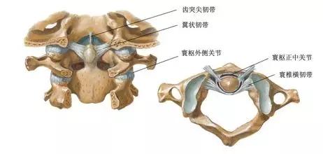 脊椎病:脊椎病的自我治疗方法 颈椎病对身体有哪些危害？