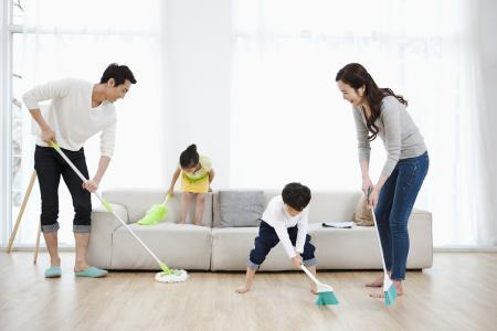 关于夏季养宠物小常识:养宠物如何保持家里干净？