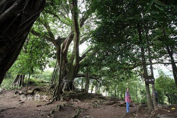 云南神秘禁区，昆明准确海拔高度是多少外地游客过来会不会缺氧