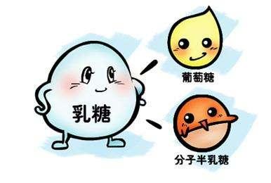 乳糖不耐受症状能加辅食吗:乳糖不耐受症患者如何选择食物？