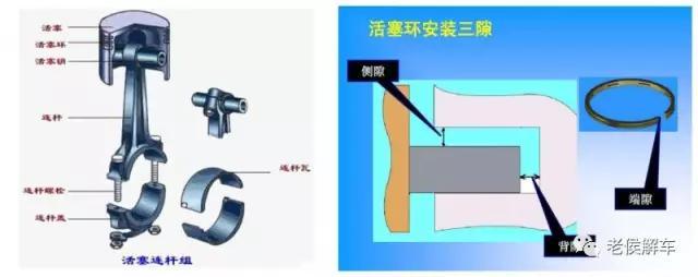 furminator猫刷子厂家:鱼缸刷子哪一个品牌好？怎么选择？