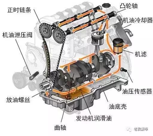 furminator猫刷子厂家:鱼缸刷子哪一个品牌好？怎么选择？